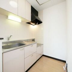 【民泊運営利用可能賃貸・札幌市白石区】東西線菊水駅も東札幌駅も徒歩圏内！エアコン完備！ネット無料！ - 札幌市