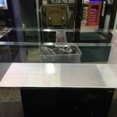 アクリル水槽買わせてください
