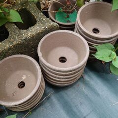 植木鉢まとめての画像