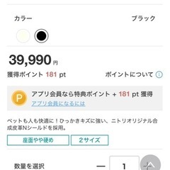 ニトリ2人がけソファの画像