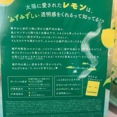 Lu Lu Lunパックの画像