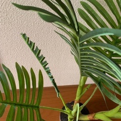 造花　飾り　置き物の画像