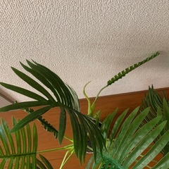 造花　飾り　置き物の画像