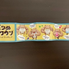 【未開封2種類】ゴツメカワウソの画像