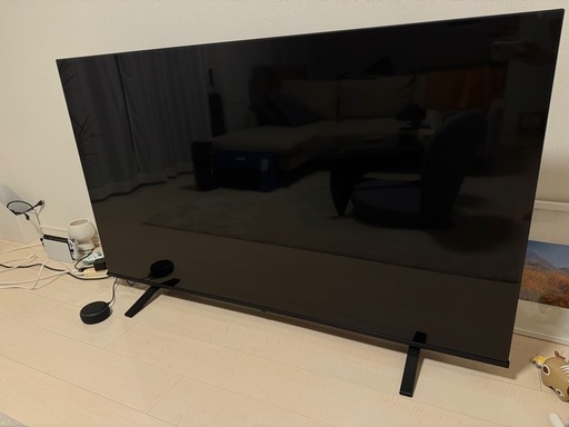 REGZA65型　2025年1月購入　TOSHIBA 65E350M