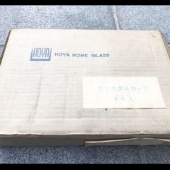 HOYA  クリスマスカップの画像