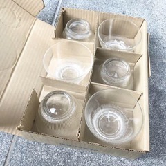 HOYA  クリスマスカップの画像