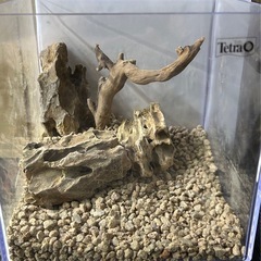 【価格固定】002 気孔石レイアウトセット（気孔石と流木のみ）の画像