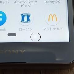 SONY Xperia docomo SO-02Lの画像