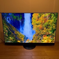 Panasonic 2024年製 55型 TH-55MZ2500の画像