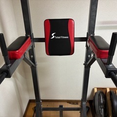 Total Fitness 懸垂マシンⅢ シンワエンタープライズの画像