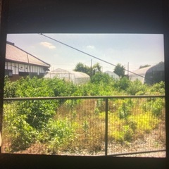 夏の草刈り承ります❗️