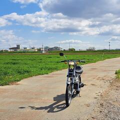 ホンダ　原付　50cc カスタムの画像