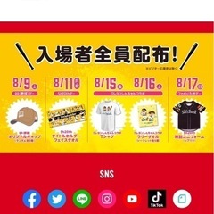 【決まりました】ソフトバンク8/16 観戦チケット２枚の画像