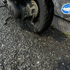 レッツ❣️他在庫多数飛込見学大歓迎❣️の画像