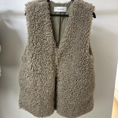 ジーナシス　ベストの画像