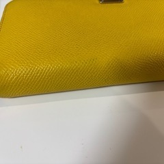 ドルガバ長財布イエローの画像