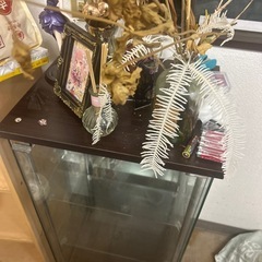 透明な陳列棚を無料であげますの画像