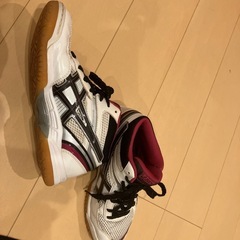 バレーボールシューズの画像