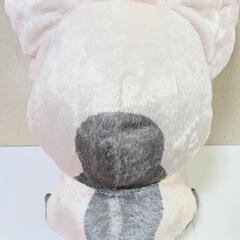 モアナ　プア　BIGぬいぐるみの画像
