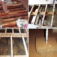 トリニティーZの画像