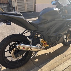 ヤマハ　YZF-R25 RG43J カスタムの画像