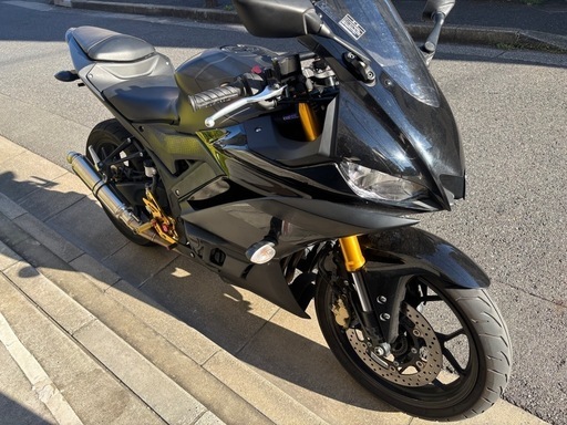 ヤマハ　YZF-R25 RG43J カスタム