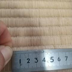 鱚投釣り仕掛け110連結の画像