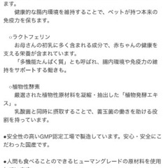 犬用 フリーズドライ ミルクサプリの画像