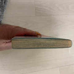 ヴァンパイア騎士4巻の画像