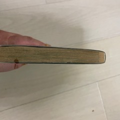 ヴァンパイア騎士6巻の画像