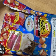 猫オヤツ😽ちゅるビーの画像