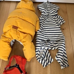 犬用ウェアの画像