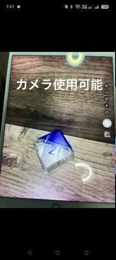 Apple iPadPro 初代 10.5inch 256GB ゴールド