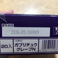ガブリチュウ　グレープ味の画像