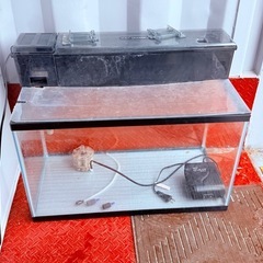 水槽の画像