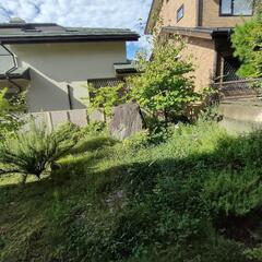 庭石の画像
