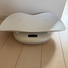 ケラッタ　ベビースケールの画像