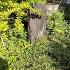 庭石の画像