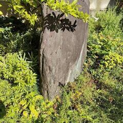 庭石の画像
