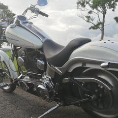 車検R9年7月 ソフテイル 2007 TC96 オープンプライマリー デュース ハーレーダビッドソンの画像