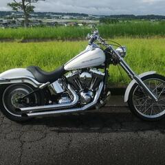 車検R9年7月 ソフテイル 2007 TC96 オープンプライマリー デュース ハーレーダビッドソンの画像
