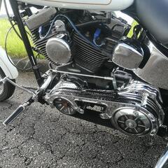 車検R9年7月 ソフテイル 2007 TC96 オープンプライマリー デュース ハーレーダビッドソンの画像