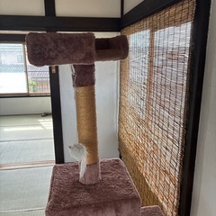 キャットタワーの画像