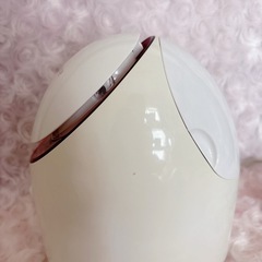 Panasonic スチーマー ナノケアの画像