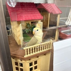 商談中、、鳥さん用　シルバニアハウスの画像