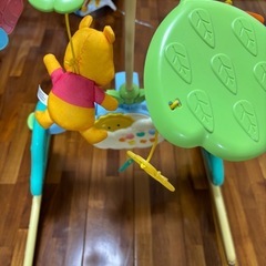 【取引中】プーメリーの画像