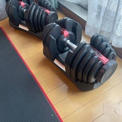 可変式ダンベル、トレーニングベンチマットセットの画像