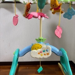 【取引中】プーメリーの画像