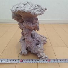 人工ライブロックの画像